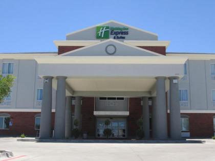 Holiday Inn Express Hotel and Suites Fort Stockton an IHG Hotel - image 4