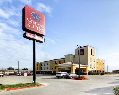 Comfort Suites Fort Stockton - image 12