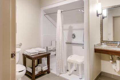 Comfort Suites Fort Stockton - image 15