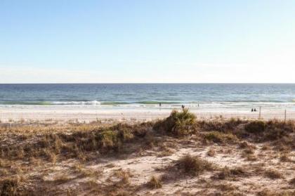 Gulf Dunes - image 3