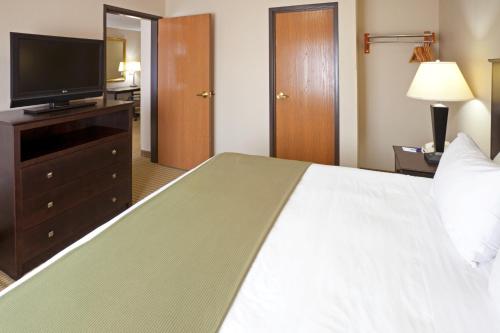 Holiday Inn Express Hotel and Suites Fort Worth/I-20 - image 4