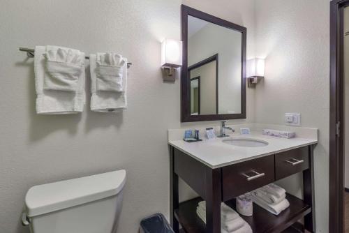 Sleep Inn & Suites Fort Worth - Fossil Creek - image 2