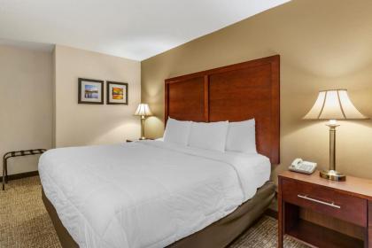 Comfort Inn Foxboro - Mansfield - image 4