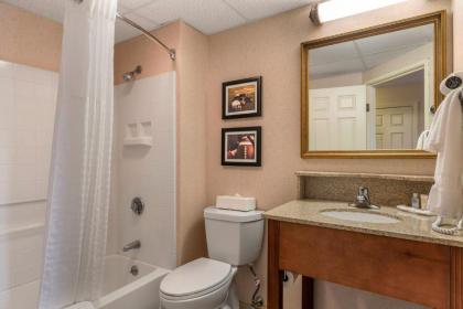 Comfort Inn Foxboro - Mansfield - image 8