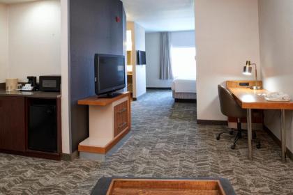 Springhill Suites by Marriott Frankenmuth - image 9