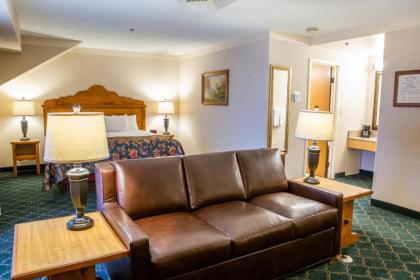 Bavarian Inn Lodge - image 12