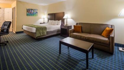 Best Western Parkside Inn - image 10