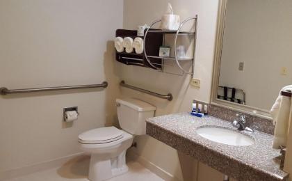 Best Western Plus O'hare International South Hotel - image 4