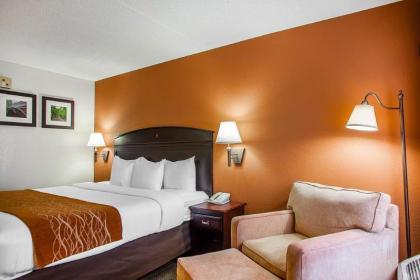 Comfort Inn & Suites Somerset