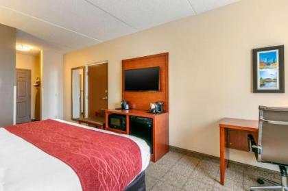 Comfort Inn & Suites Nashville Franklin Cool Springs - image 5