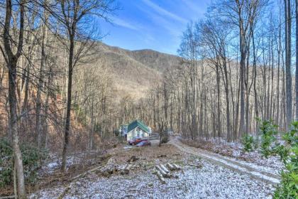 Nantahala Mountain Cabin about 1 Mile to Hiking! - image 9