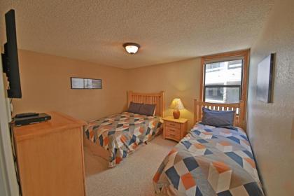 Snowblaze Condominiums - image 13