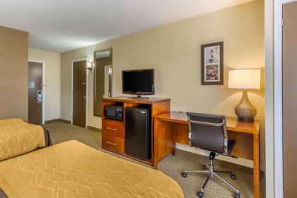 Comfort Inn Red Horse Frederick - image 4