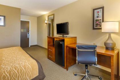 Comfort Inn Red Horse Frederick - image 6