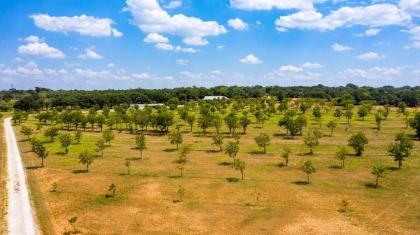 Pecan Farm Haus - image 6