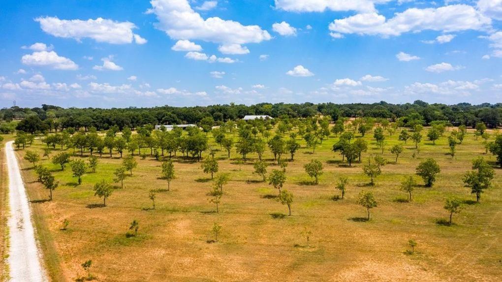 Pecan Farm Haus - image 6