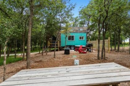 Stunning Modern Tiny Home with Grill - image 2