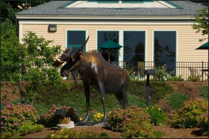 Hampton Inn Freeport/Brunswick - image 15