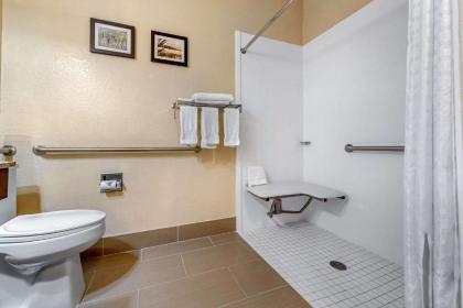 Comfort Inn Fremont - image 10