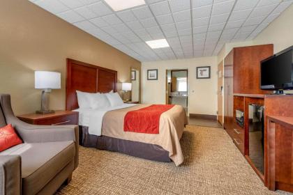 Comfort Inn Fremont - image 11