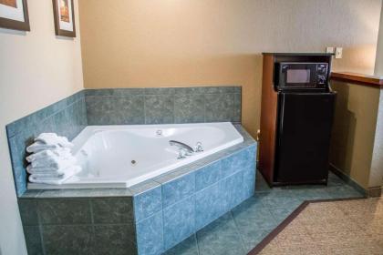 Comfort Inn & Suites Fremont - image 11