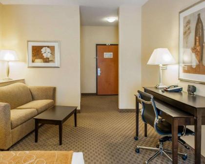 Comfort Suites French Lick - image 10