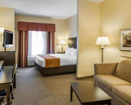 Comfort Suites French Lick - image 14