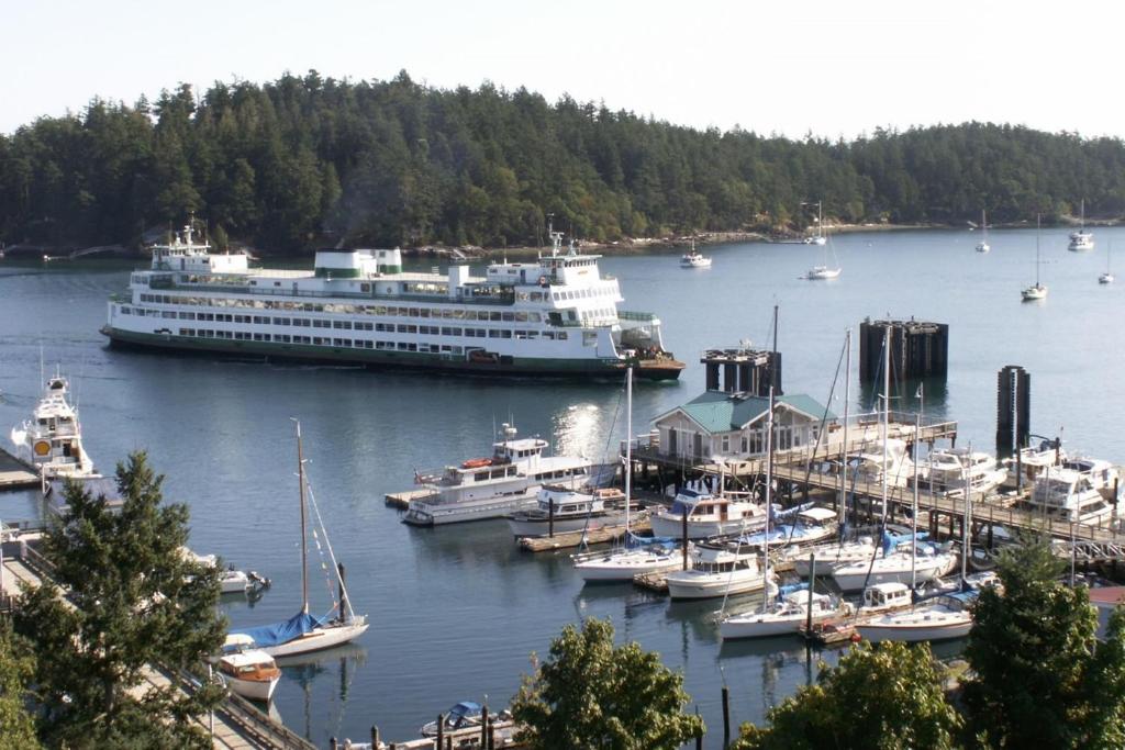 Friday Harbor House - image 6