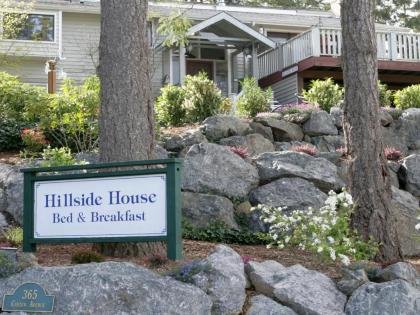 Hillside House Bed and Breakfast - image 1