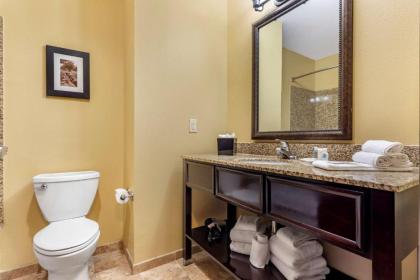 Comfort Suites Frisco - image 11