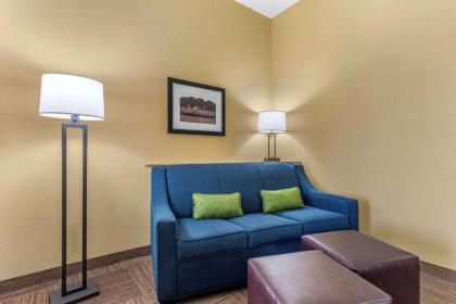 Comfort Suites Frisco - image 12