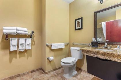 Comfort Suites Frisco - image 15