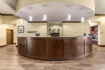 Comfort Suites Frisco - image 6