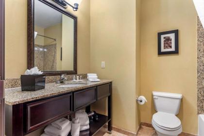 Comfort Suites Frisco - image 9