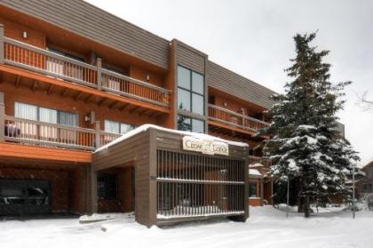 Apartment in Frisco Colorado