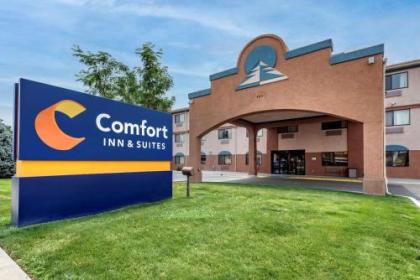 Comfort Inn  Suites Fruita