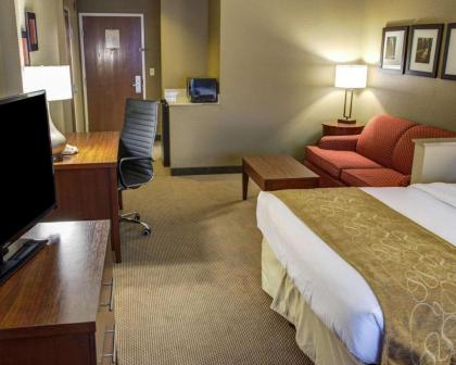 Comfort Suites Gadsden Attalla - image 10