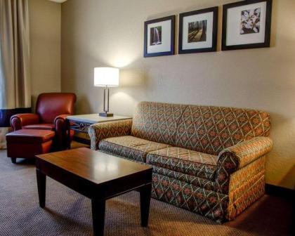 Comfort Suites Gadsden Attalla - image 12