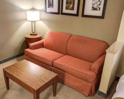 Comfort Suites Gadsden Attalla - image 13