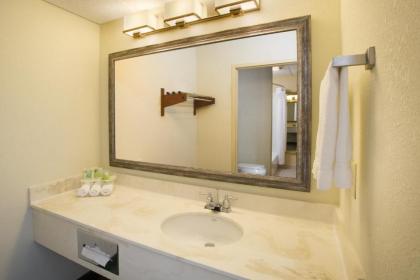 Holiday Inn Express Hotel & Suites Columbus Airport an IHG Hotel - image 14