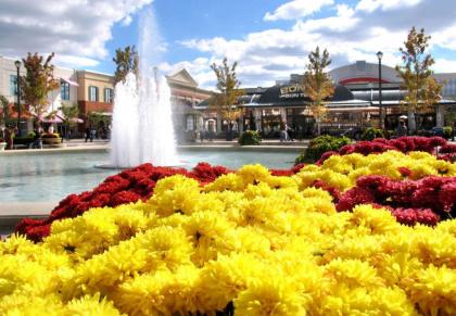 SpringHill Suites Columbus Airport Gahanna - image 8