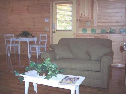 New River Trail Cabins - image 10