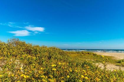 Beyond the Blue Fabulous Beach House close to Seawall and Pleasure Pier - image 5