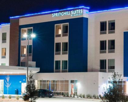 SpringHill Suites by Marriott Birmingham Gardendale - image 3