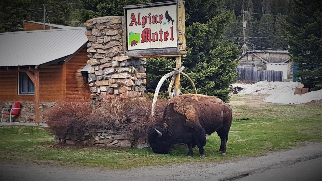 Alpine Motel of Cooke City - main image