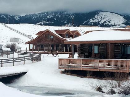 Creek Cabin - image 5