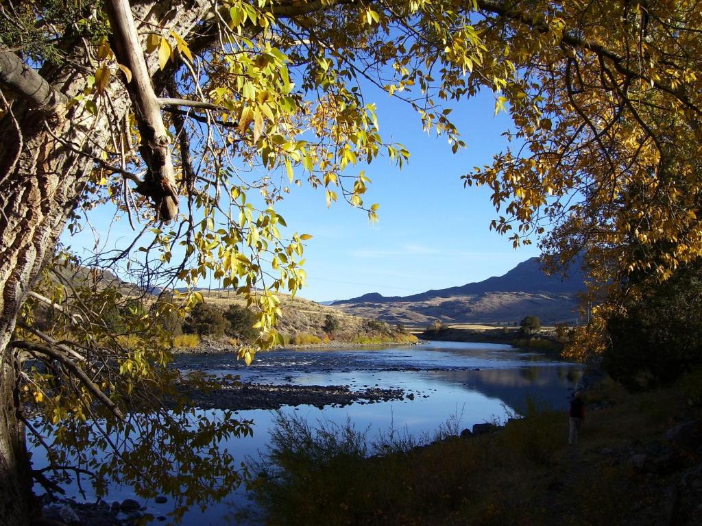 Yellowstone Park Riverfront Cabins - image 2