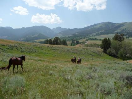 McDonald's Ranch Lodge - image 3