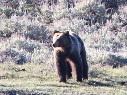 Elk Horn Lodge - image 7