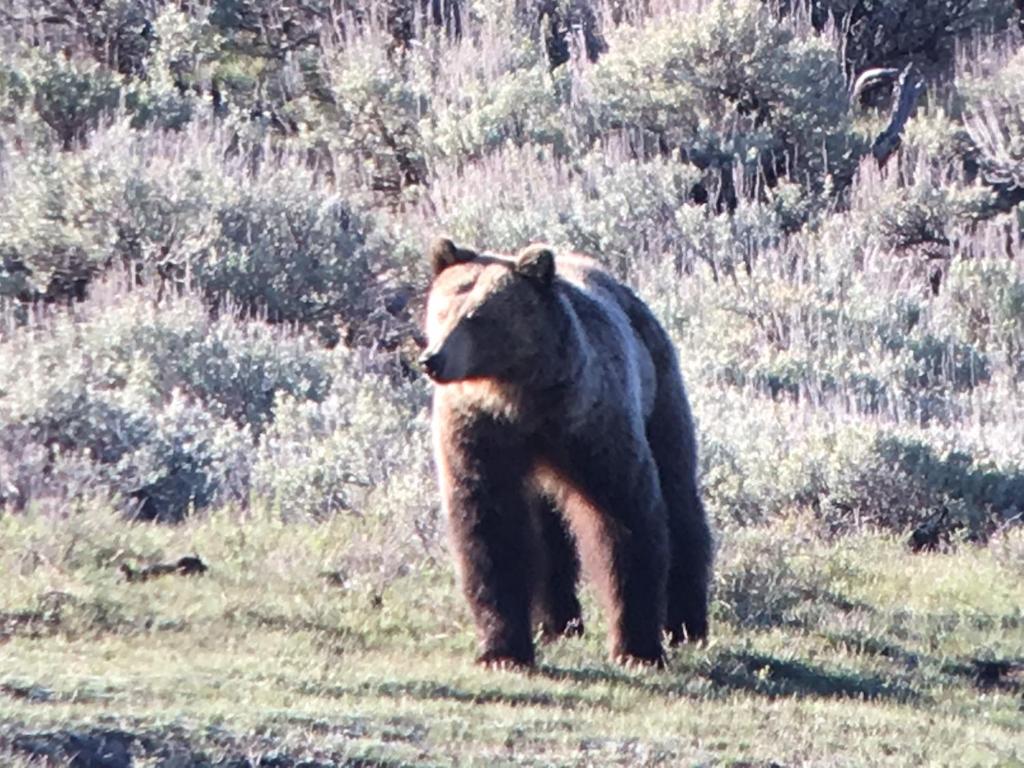 Elk Horn Lodge - image 7